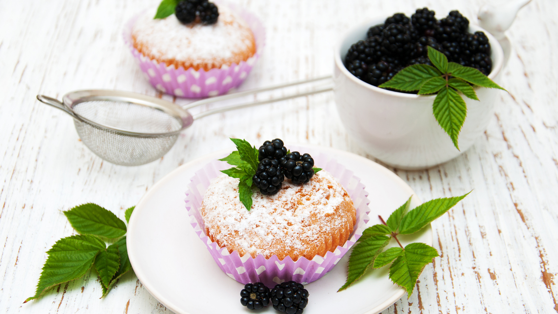 Apple Blackcurrant Muffins